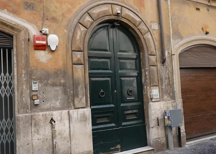 Amata Campo Dei Fiori *