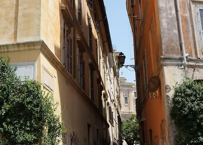 Amata Campo Dei Fiori *